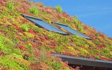 Crooked Withies living roof systems