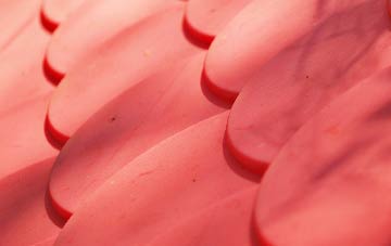 Crooked Withies plastic roof costs