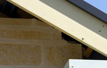 soffit repair Crooked Withies
